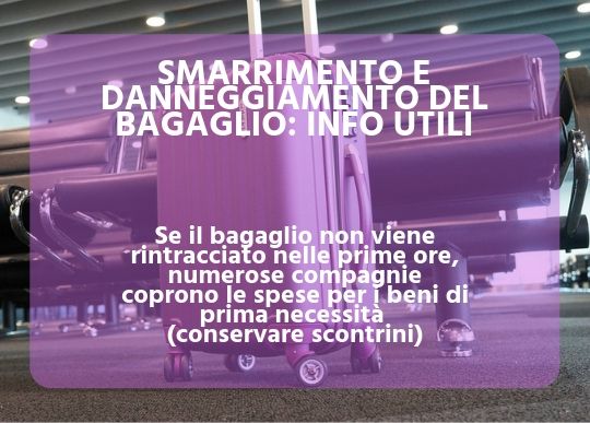 Smarr Bagaglio 2.jpg